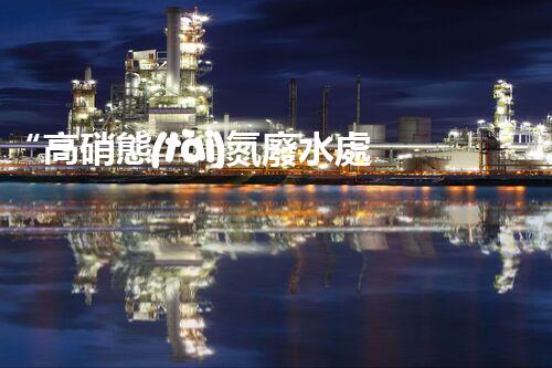 “高硝態(tài)氮廢水處理，綠色環(huán)保新篇章”